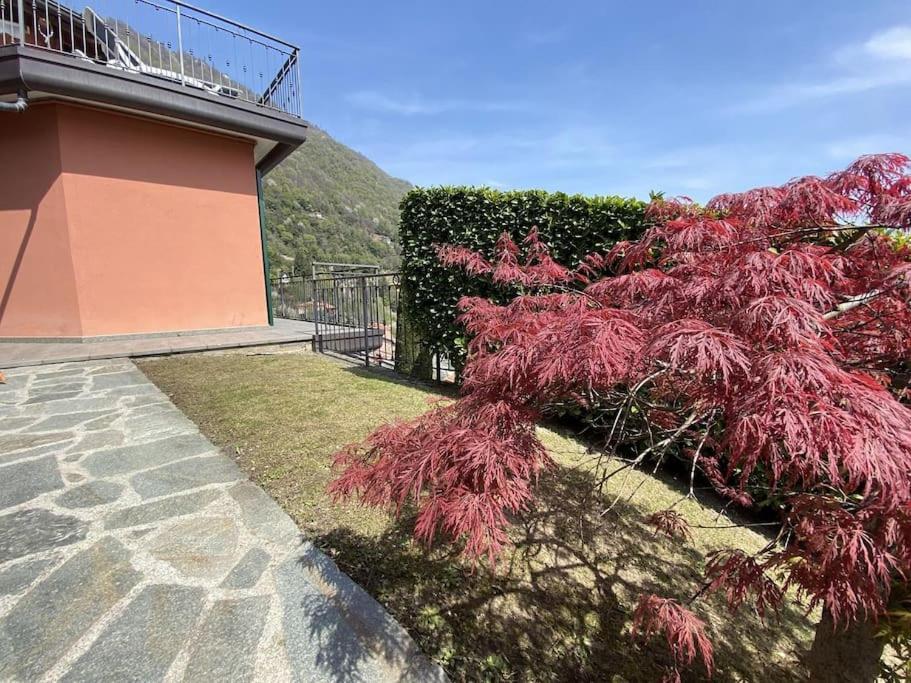 San Sisinio Apartment アルジェーニョ エクステリア 写真